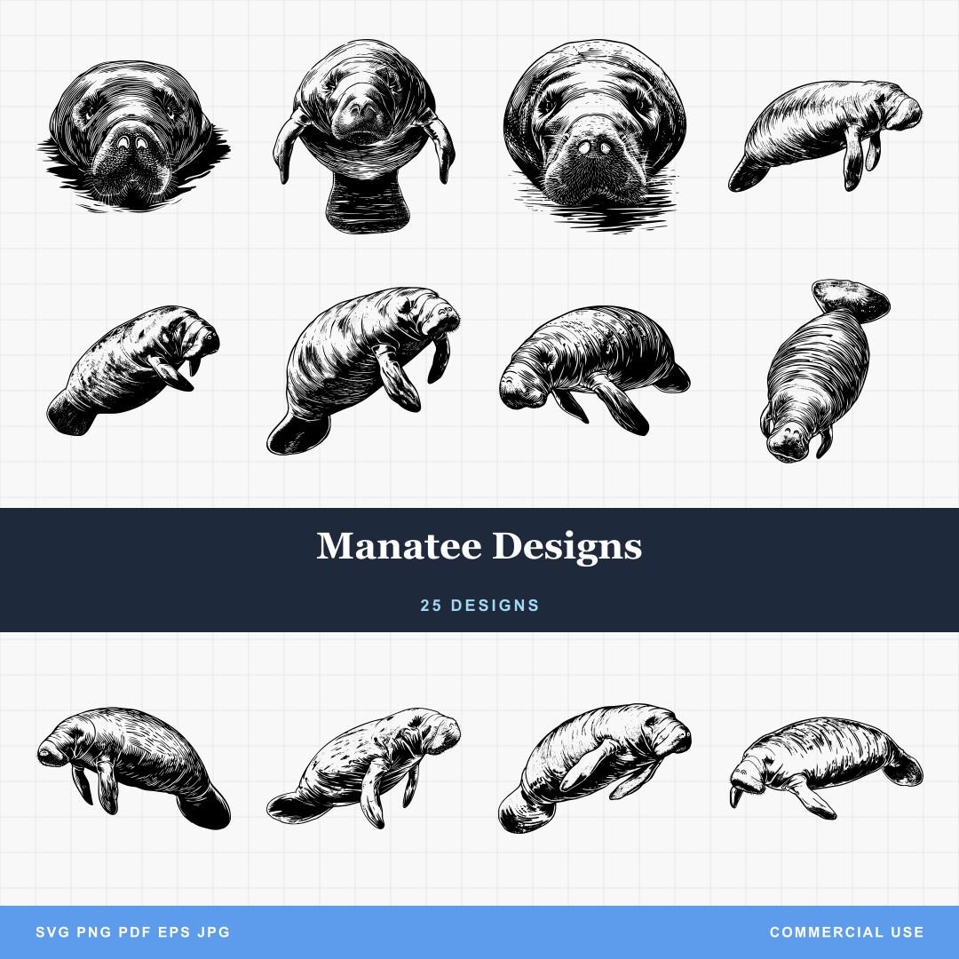 Manatee Designs