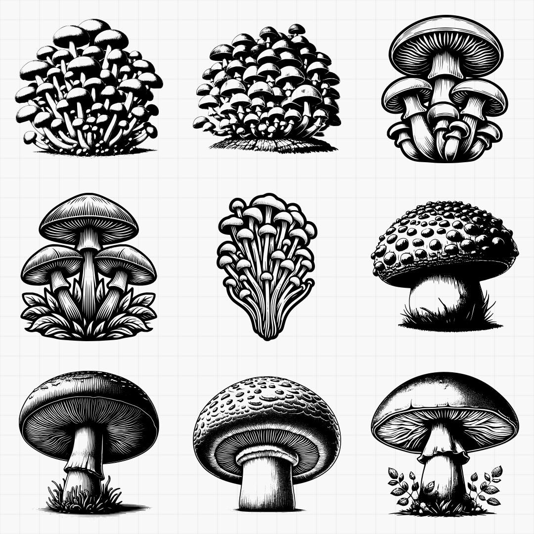 Mushrooms Design Pack - Thumbnail 6