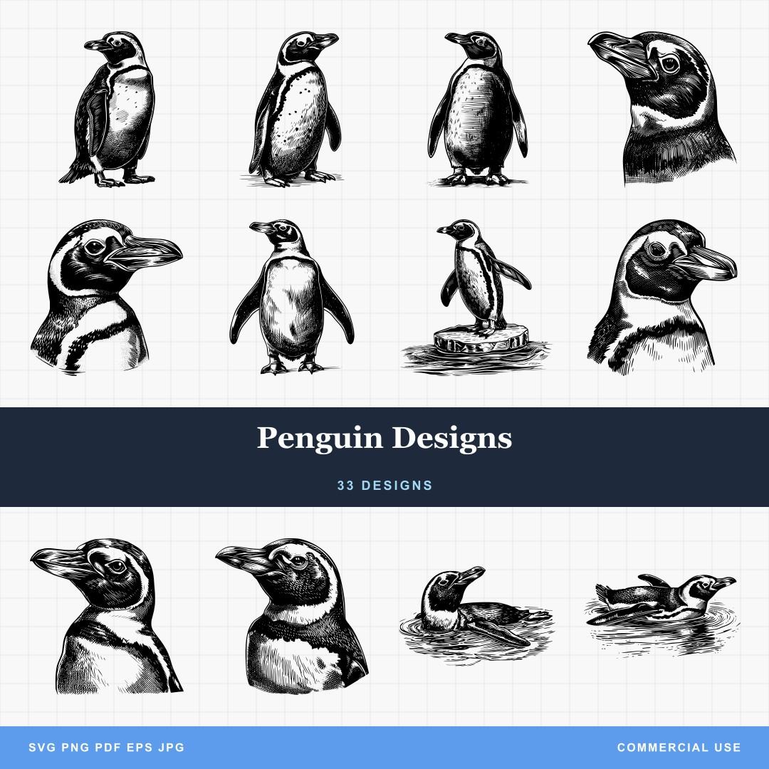 Penguin Designs