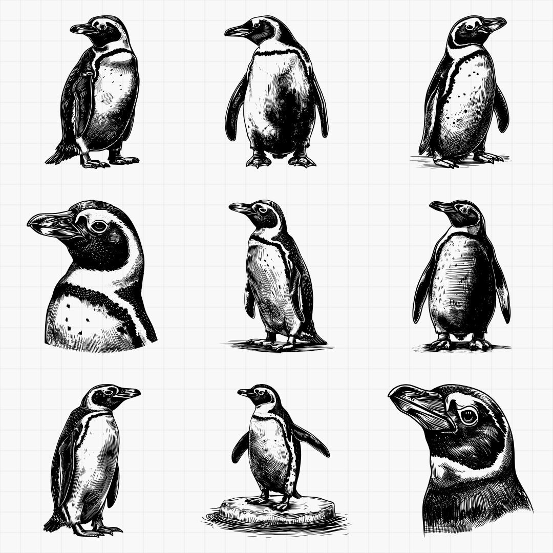 Penguin Designs - Thumbnail 2