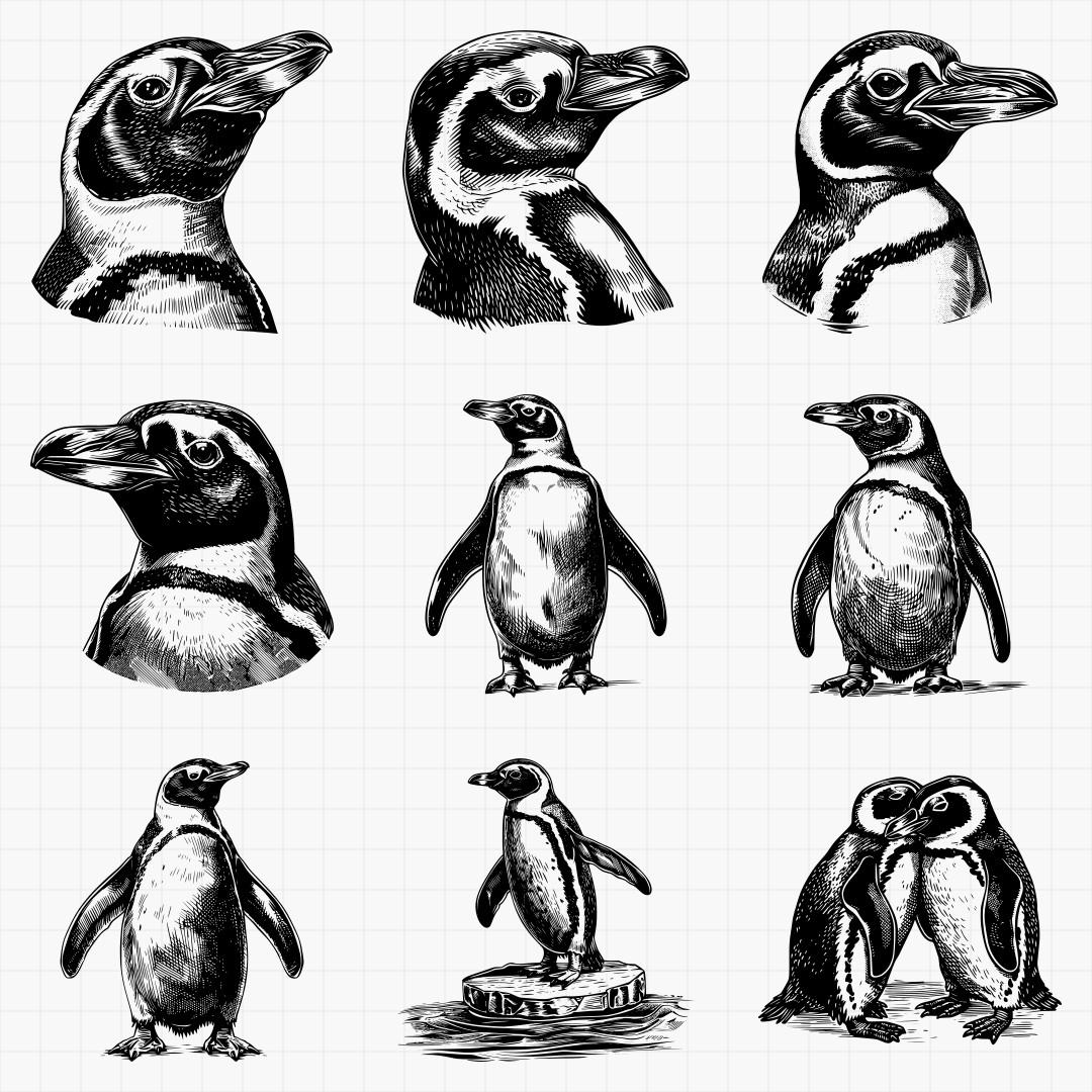 Penguin Designs - Thumbnail 3