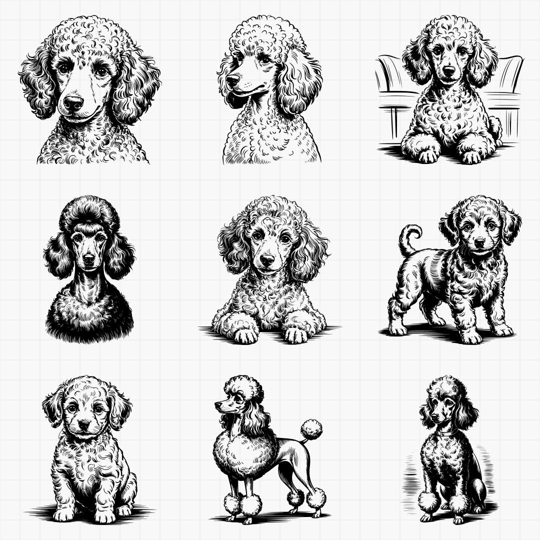 Poodle Designs - Thumbnail 2