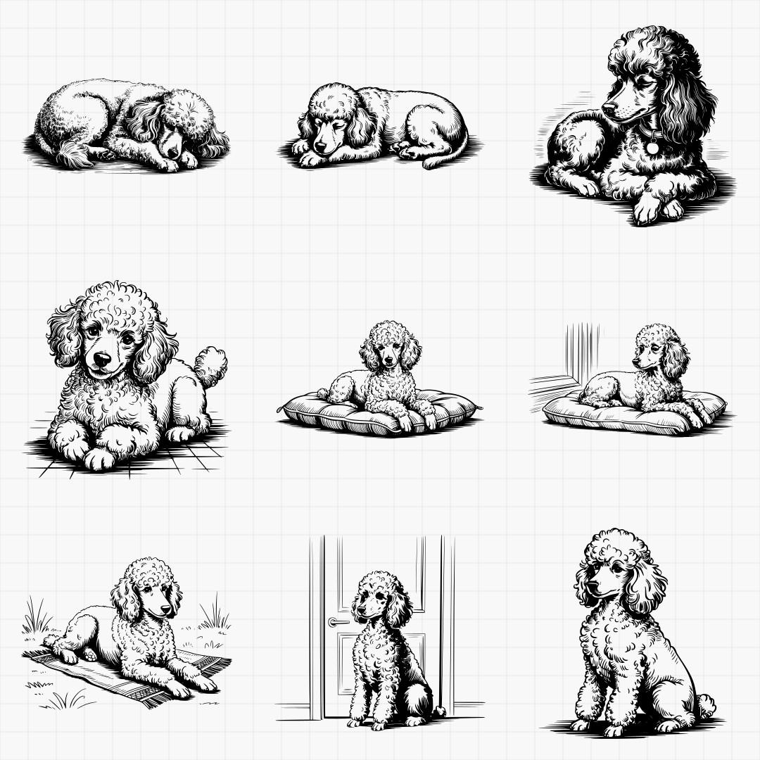 Poodle Designs - Thumbnail 6