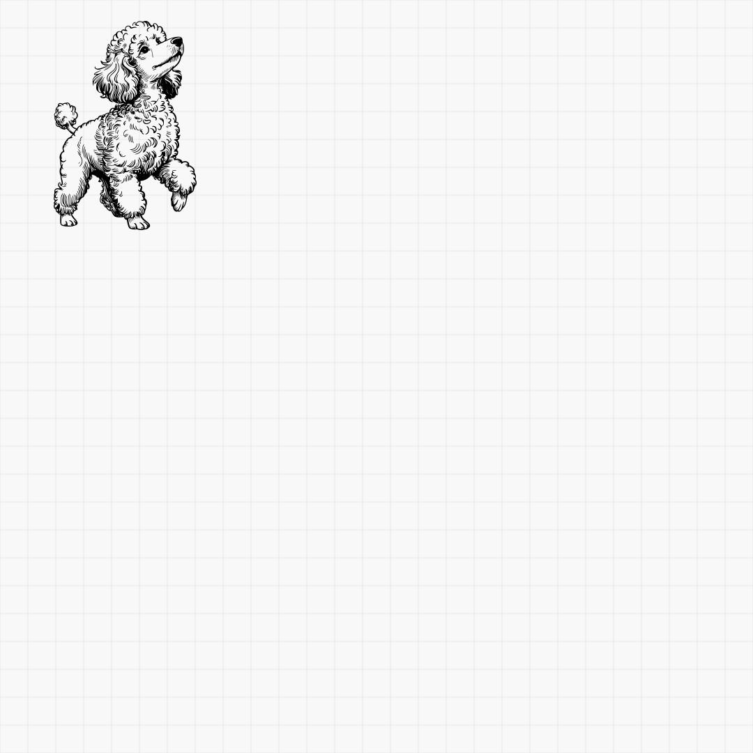 Poodle Designs - Thumbnail 8