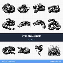 Python Designs