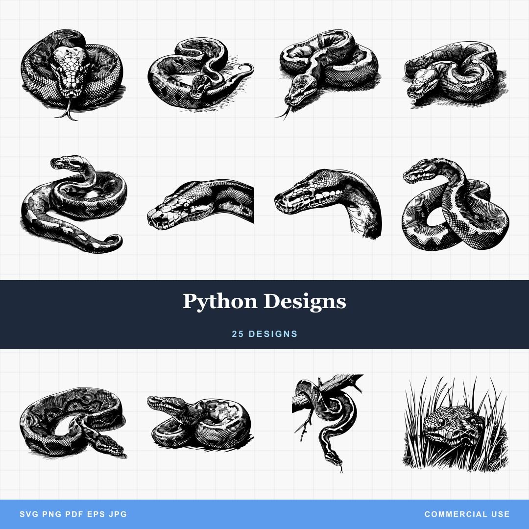 Python Designs