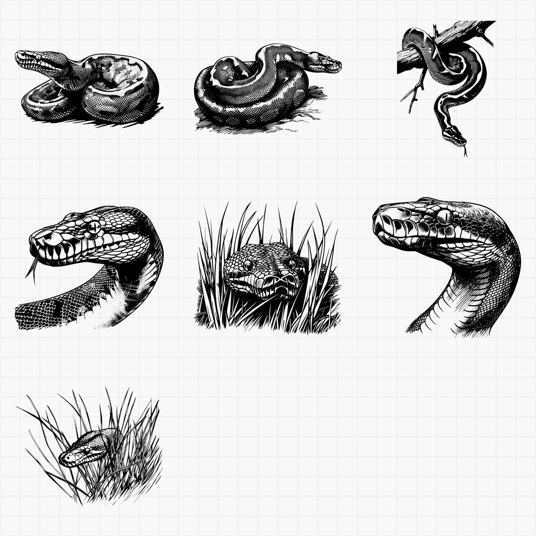 Python Designs - Thumbnail 4