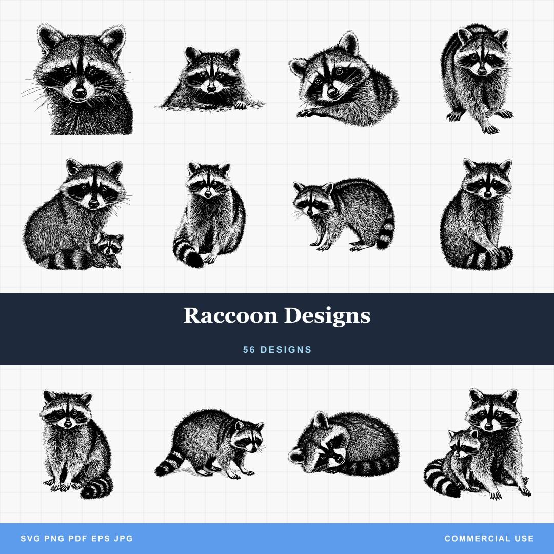 Raccoon Designs