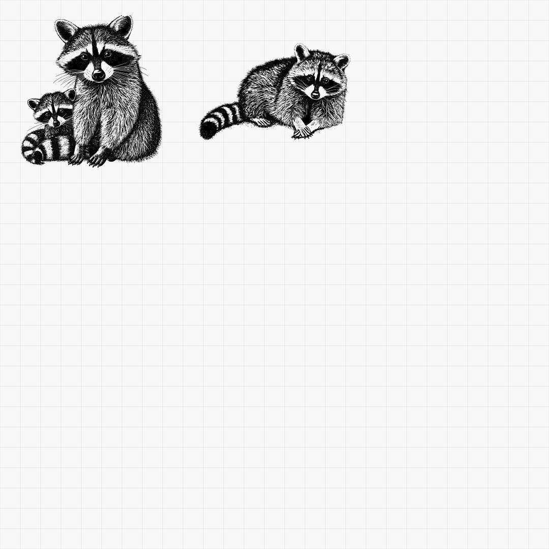 Raccoon Designs - Thumbnail 8