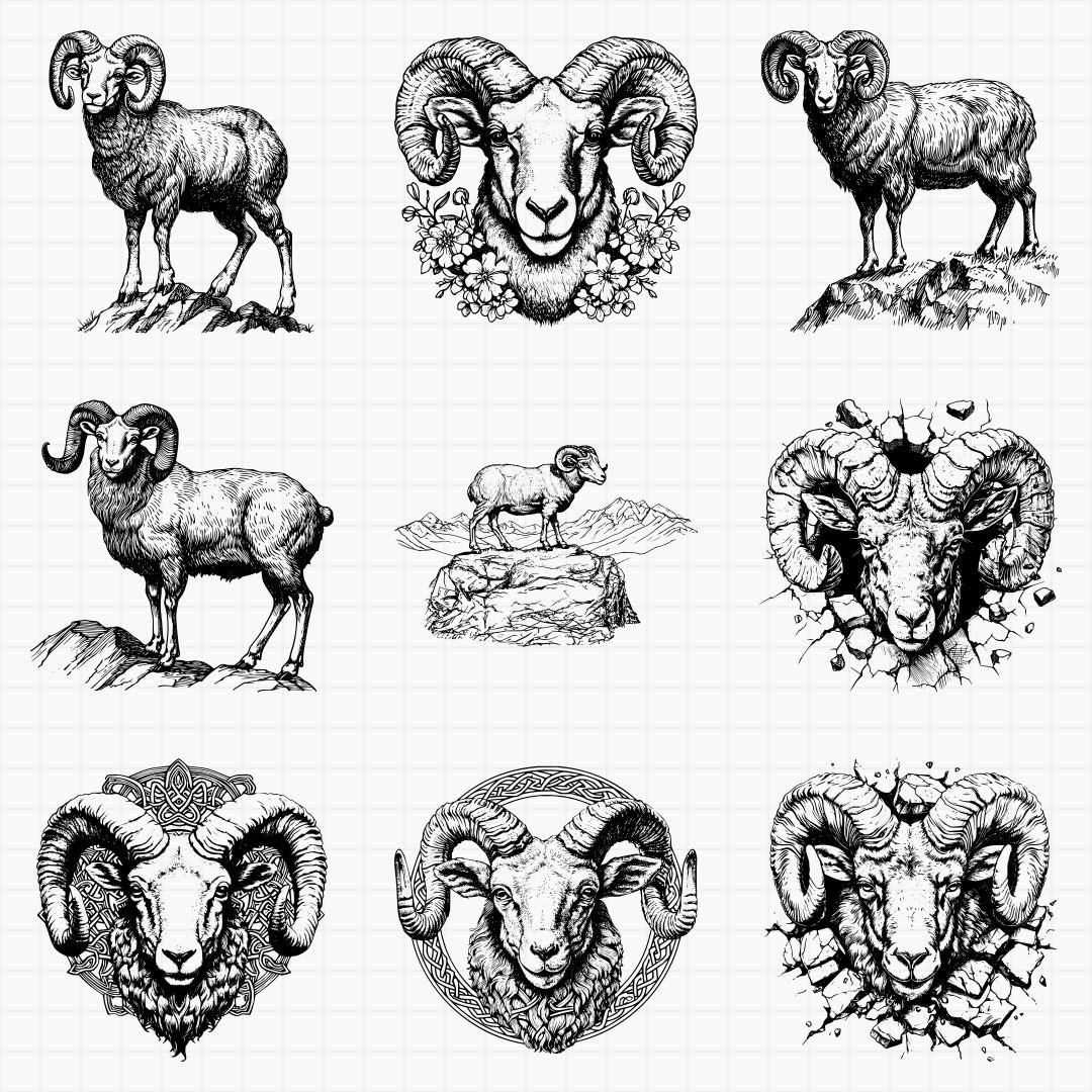 Ram Designs Pack - Thumbnail 3