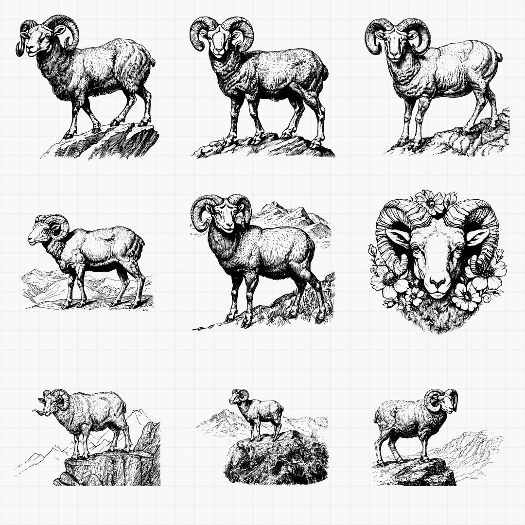 Ram Designs Pack - Thumbnail 5