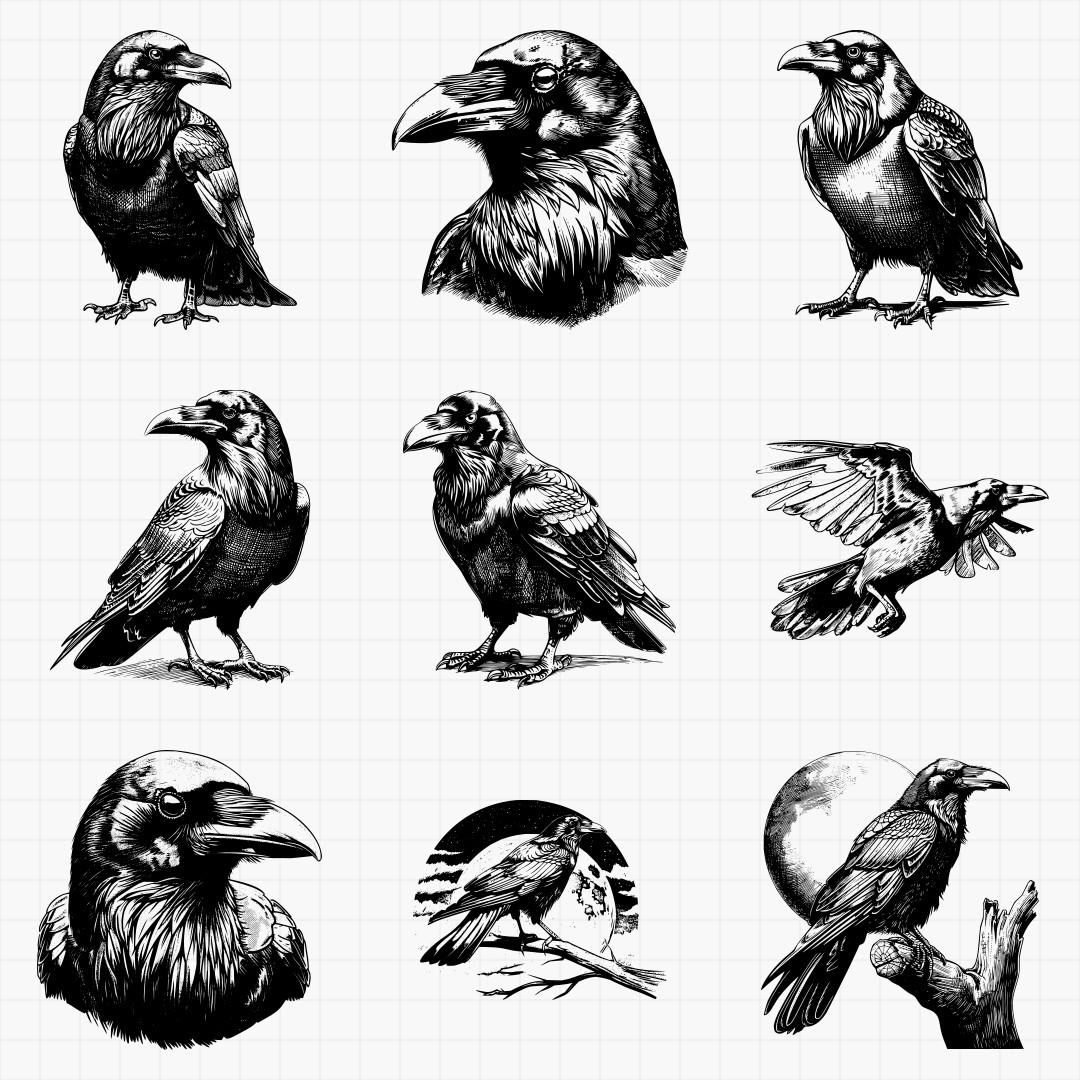 Raven Designs - Thumbnail 2