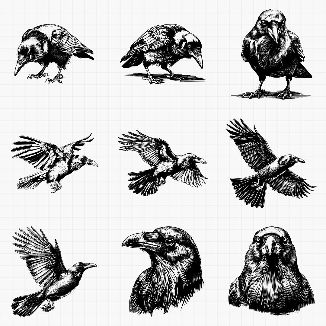 Raven Designs - Thumbnail 3