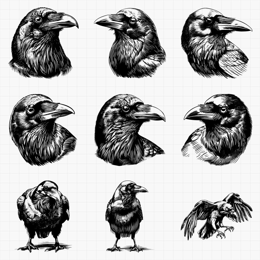 Raven Designs - Thumbnail 4