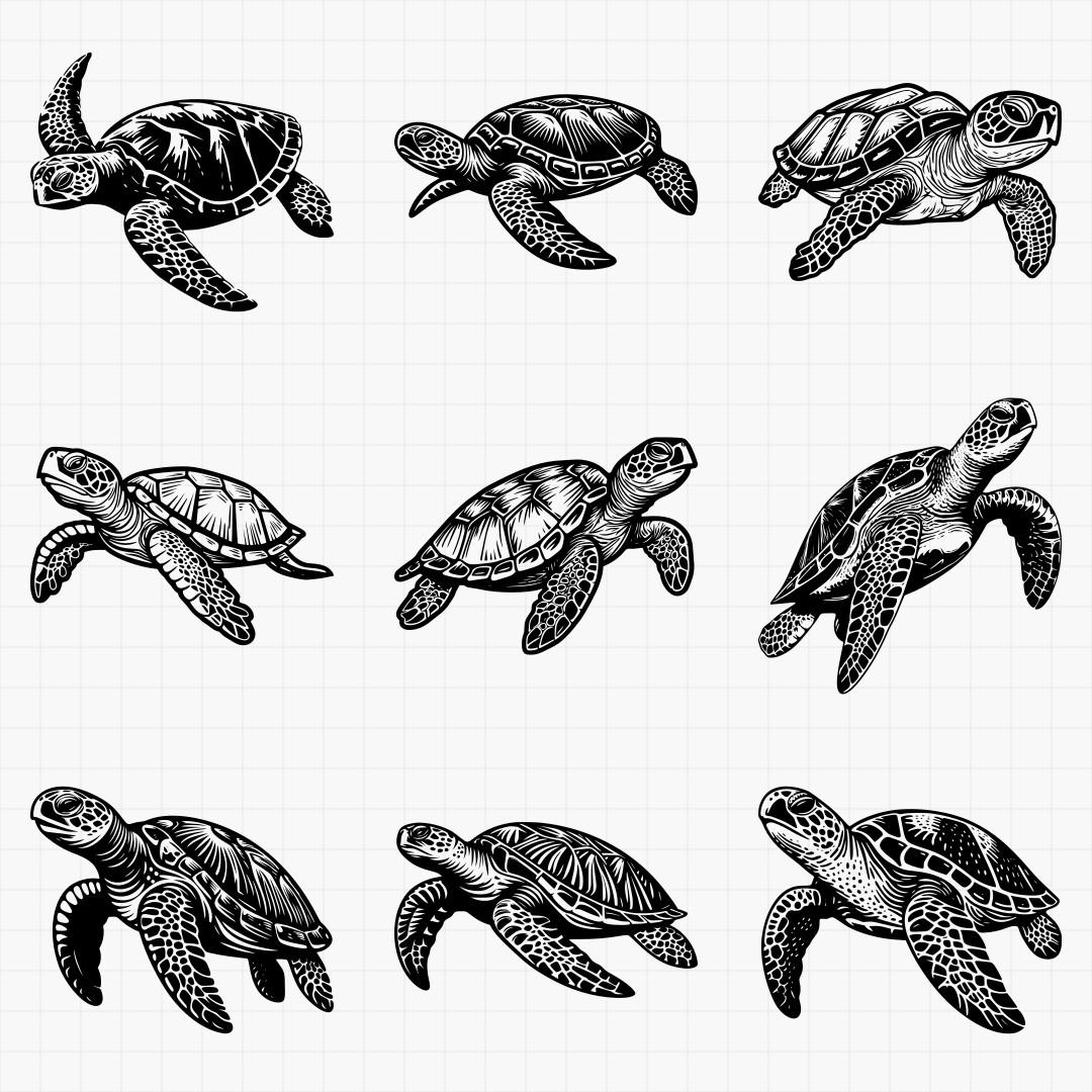 Seaturtles Pack - Thumbnail 2