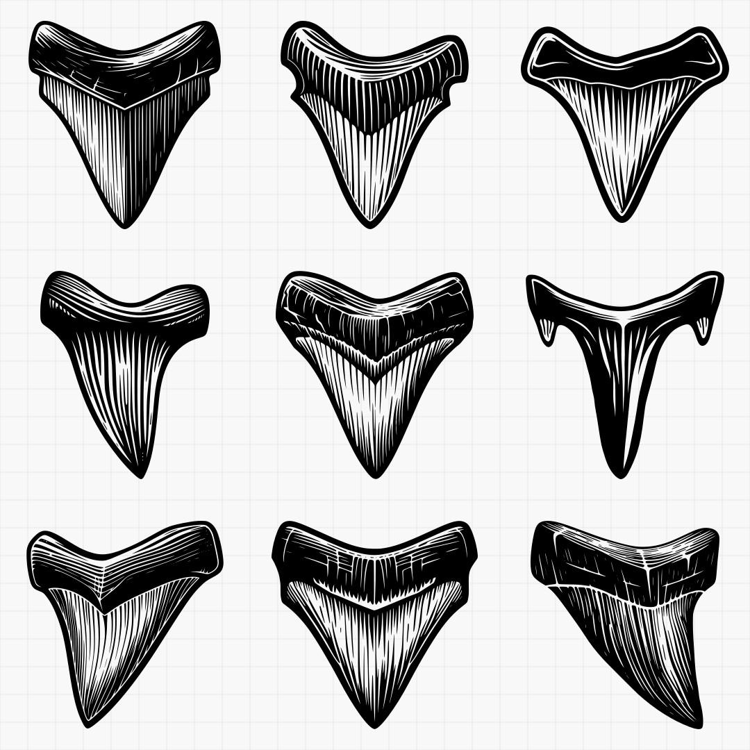Shark Teeth Designs - Thumbnail 2