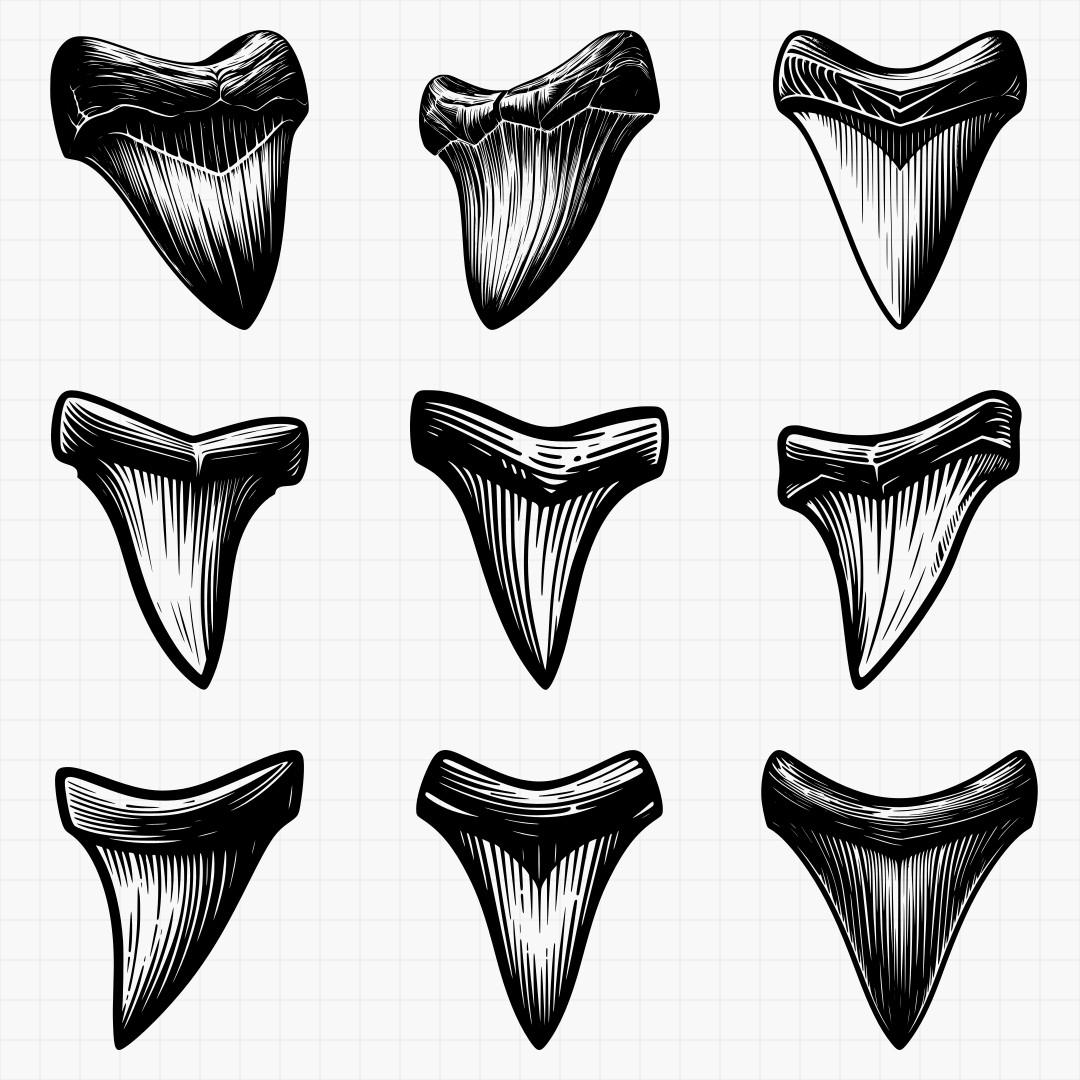 Shark Teeth Designs - Thumbnail 4