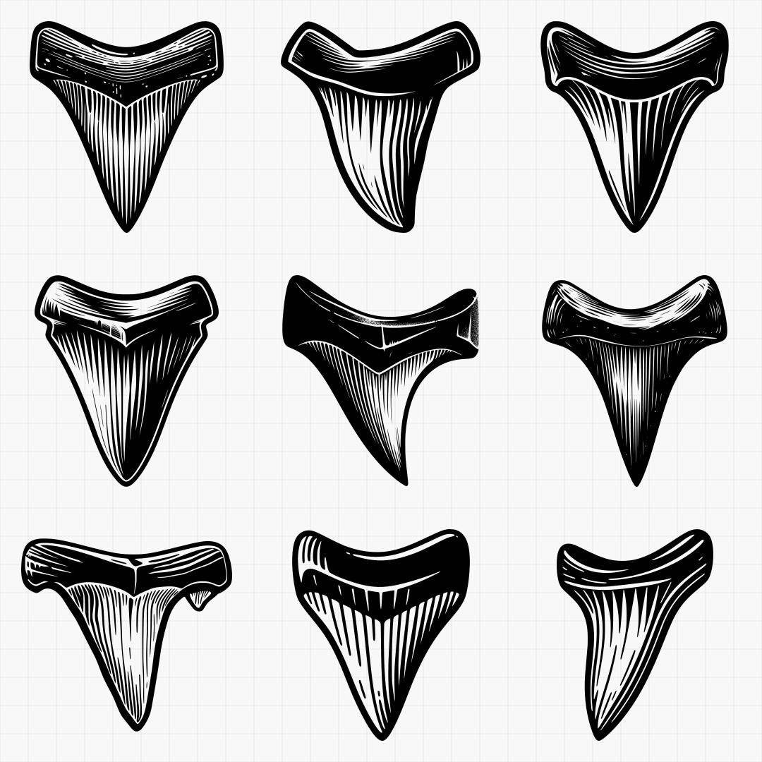 Shark Teeth Designs - Thumbnail 5