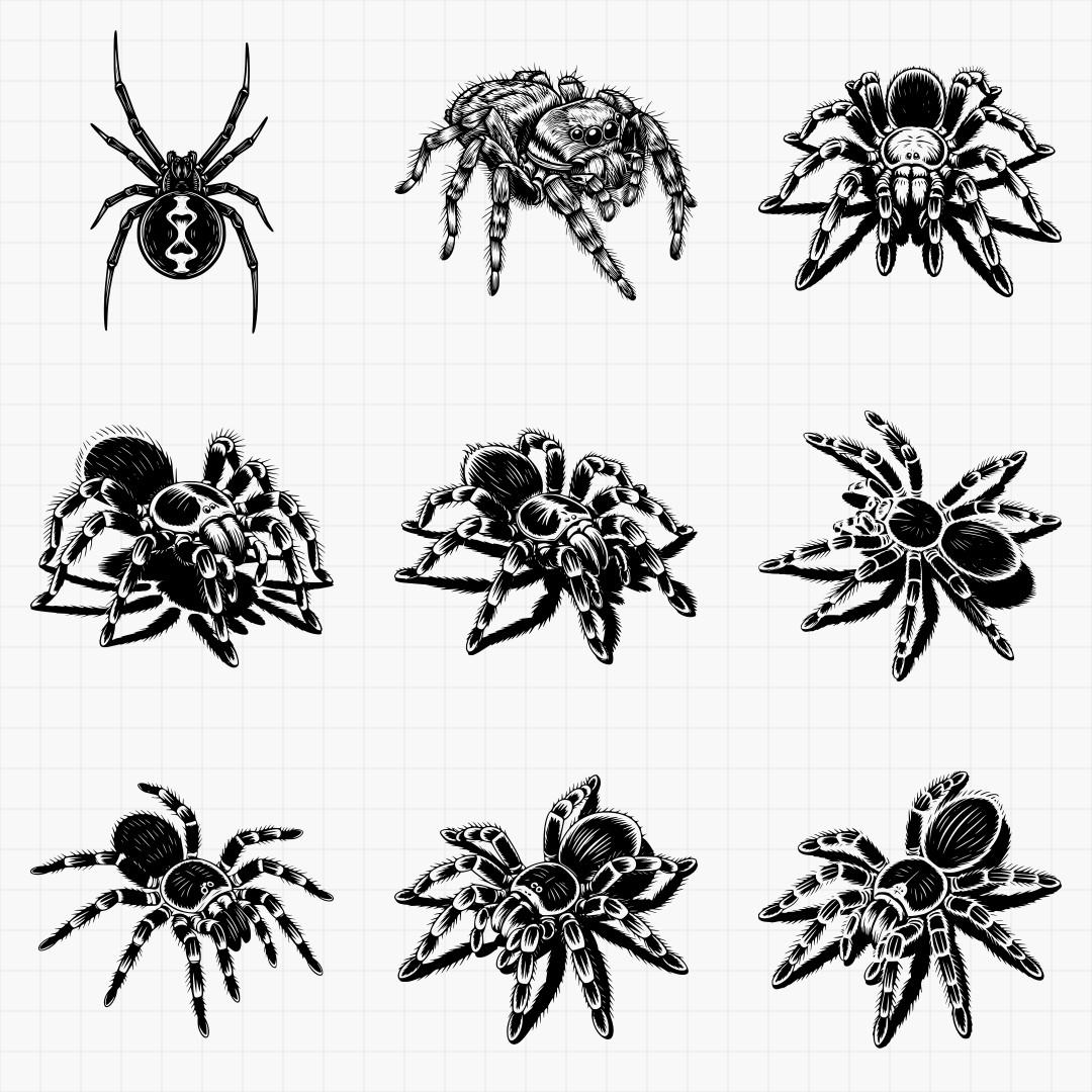 Spider Designs - Thumbnail 2