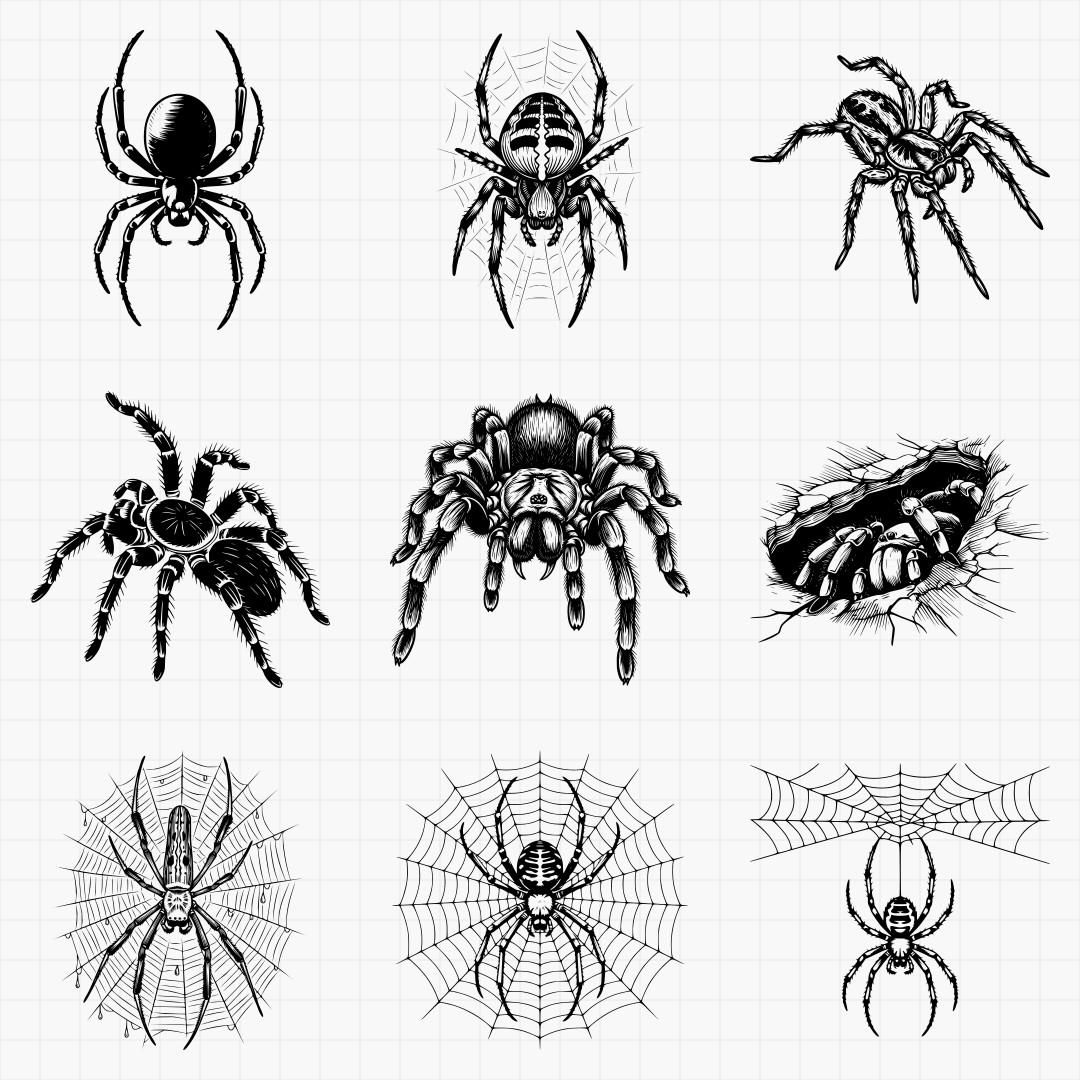 Spider Designs - Thumbnail 4