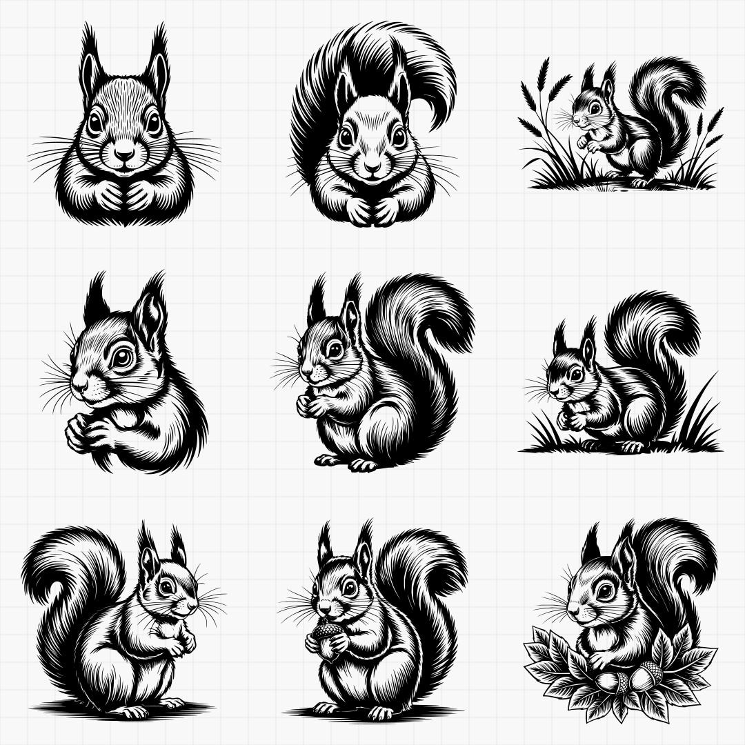 Squirrel Designs - Thumbnail 2