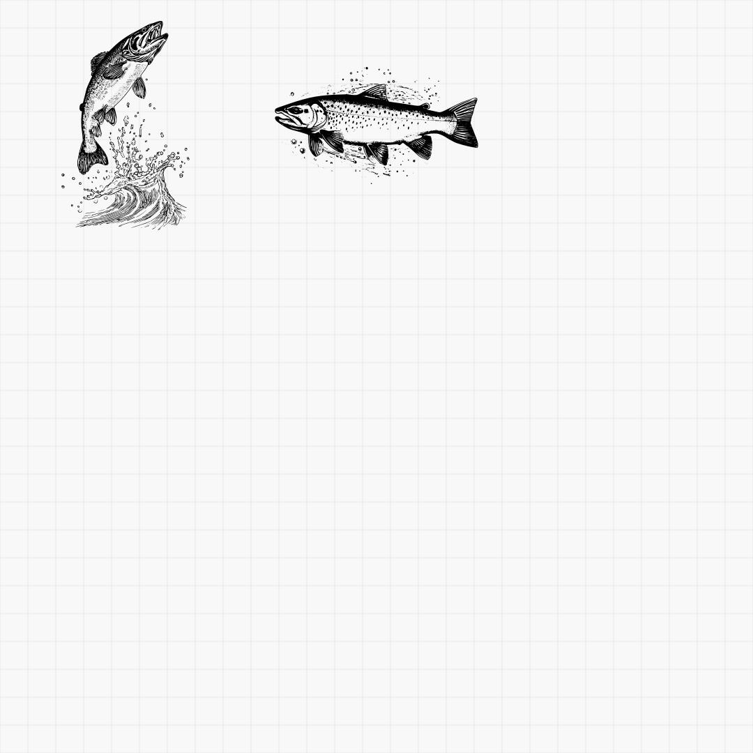 Trout Designs Pack - Thumbnail 6