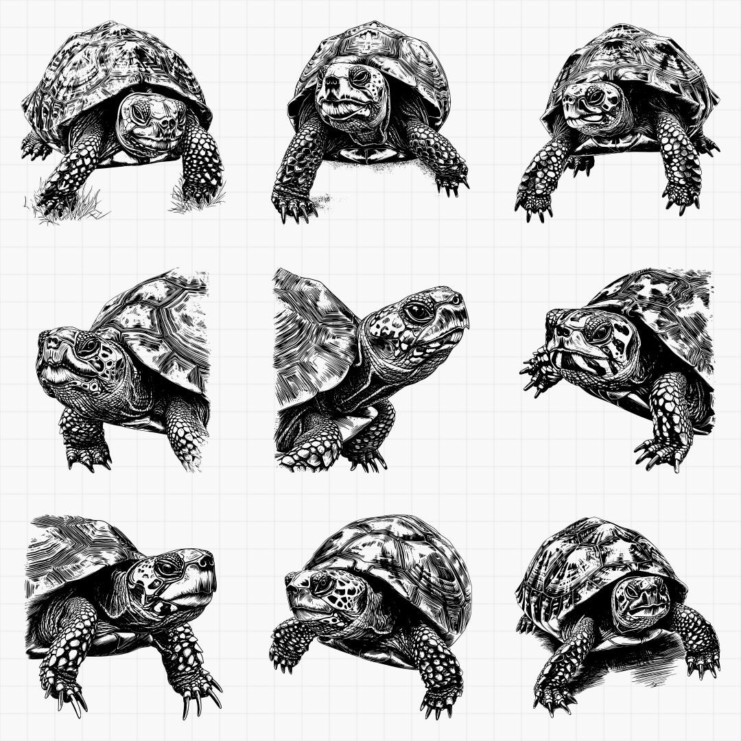 Turtle Design Pack - Thumbnail 2