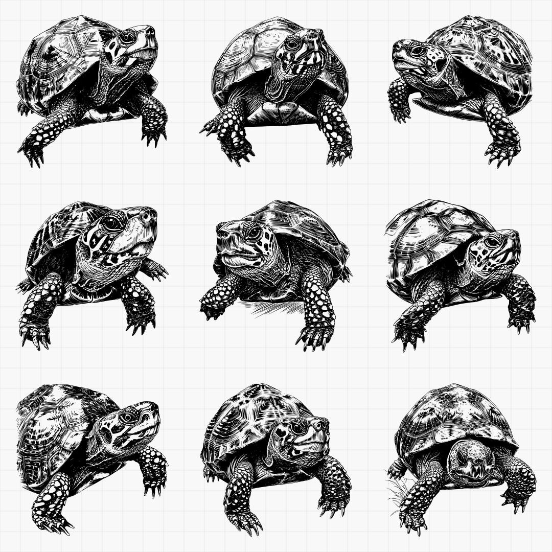 Turtle Design Pack - Thumbnail 3