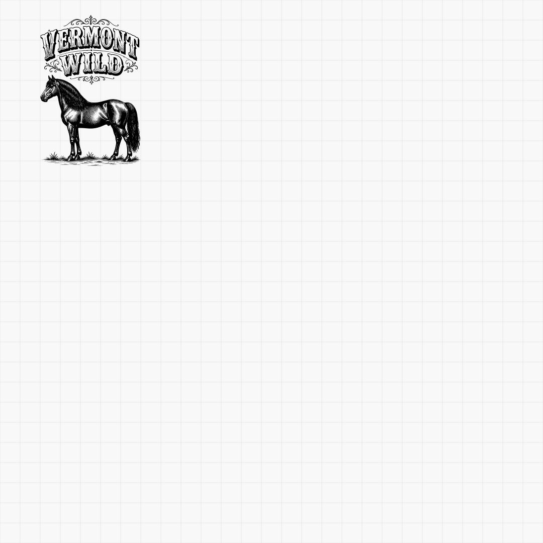 Vermont State Pride & Travel Designs - Thumbnail 7