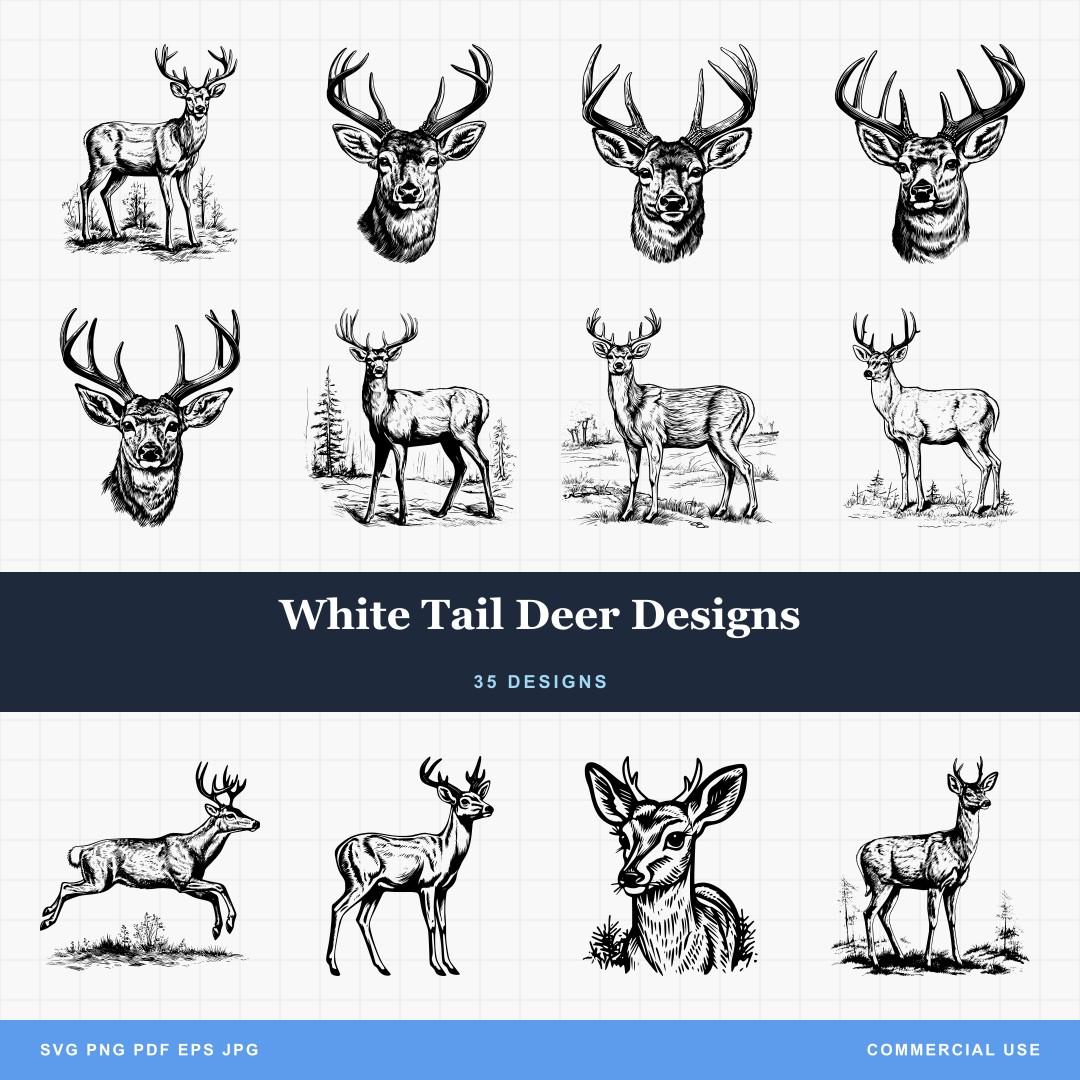White Tail Deer Designs