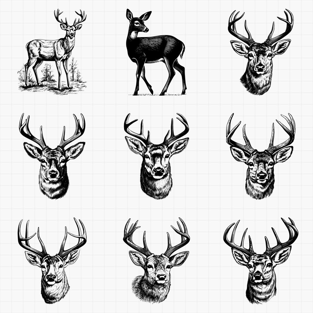 White Tail Deer Designs - Thumbnail 2