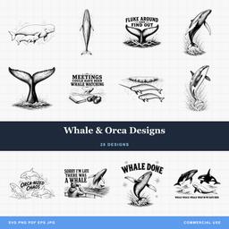 Whale & Orca Designs
