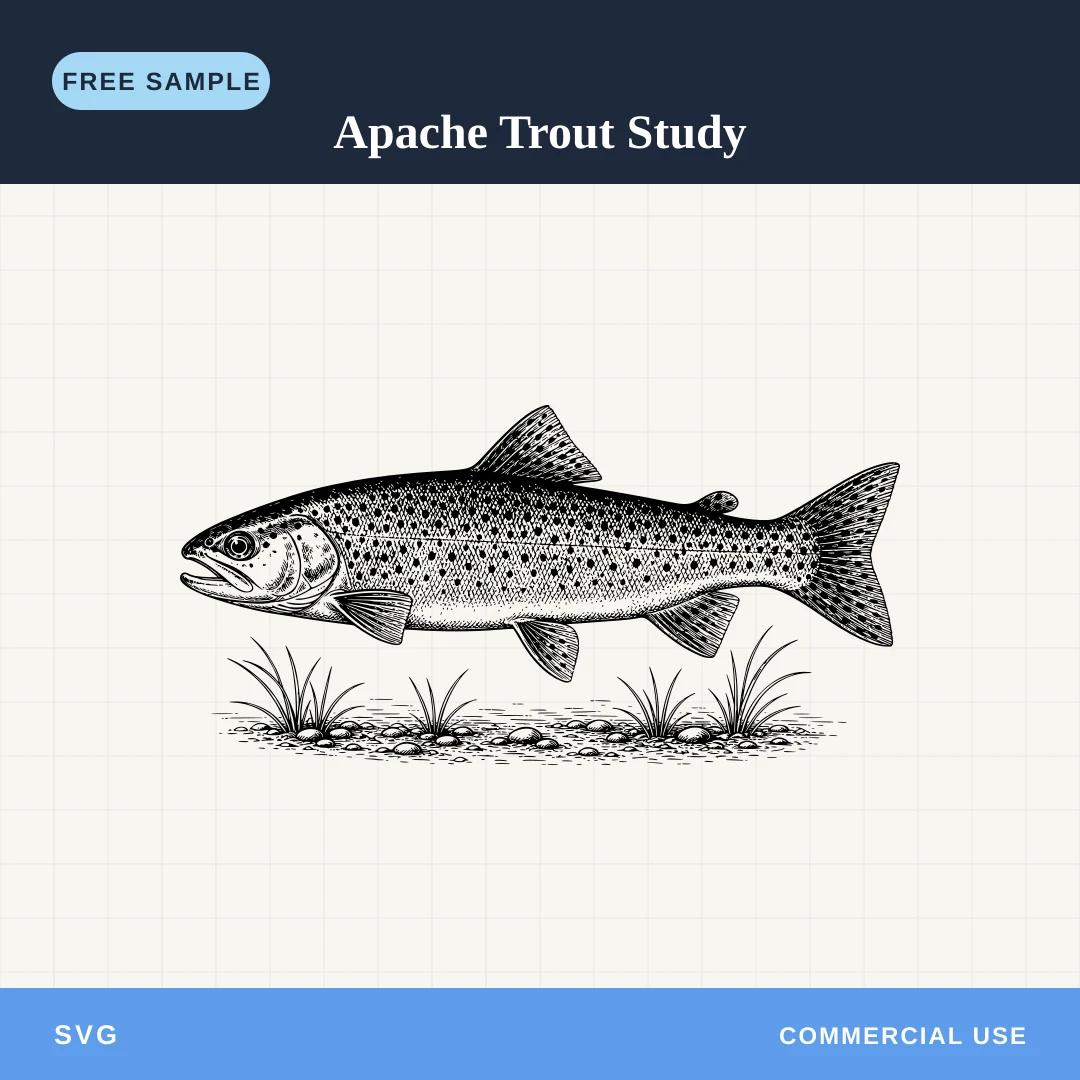 Free Apache Trout Study SVG