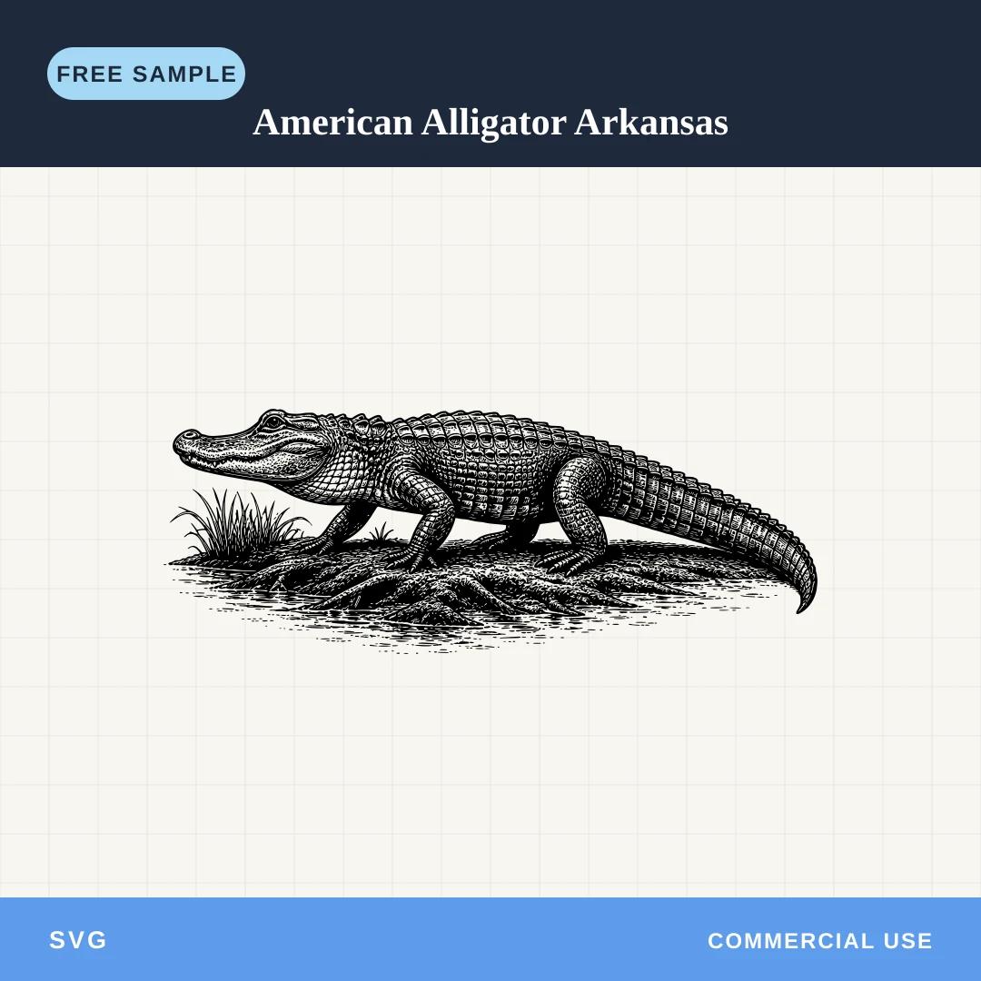 Free American Alligator Arkansas SVG