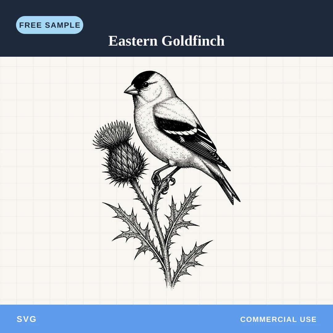 Free Eastern Goldfinch SVG