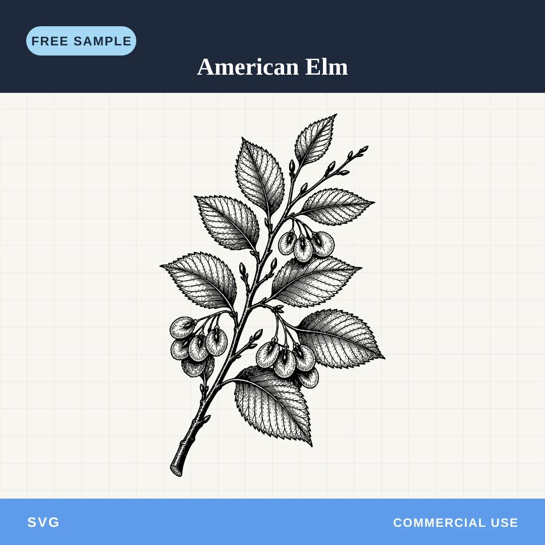 Free American Elm SVG