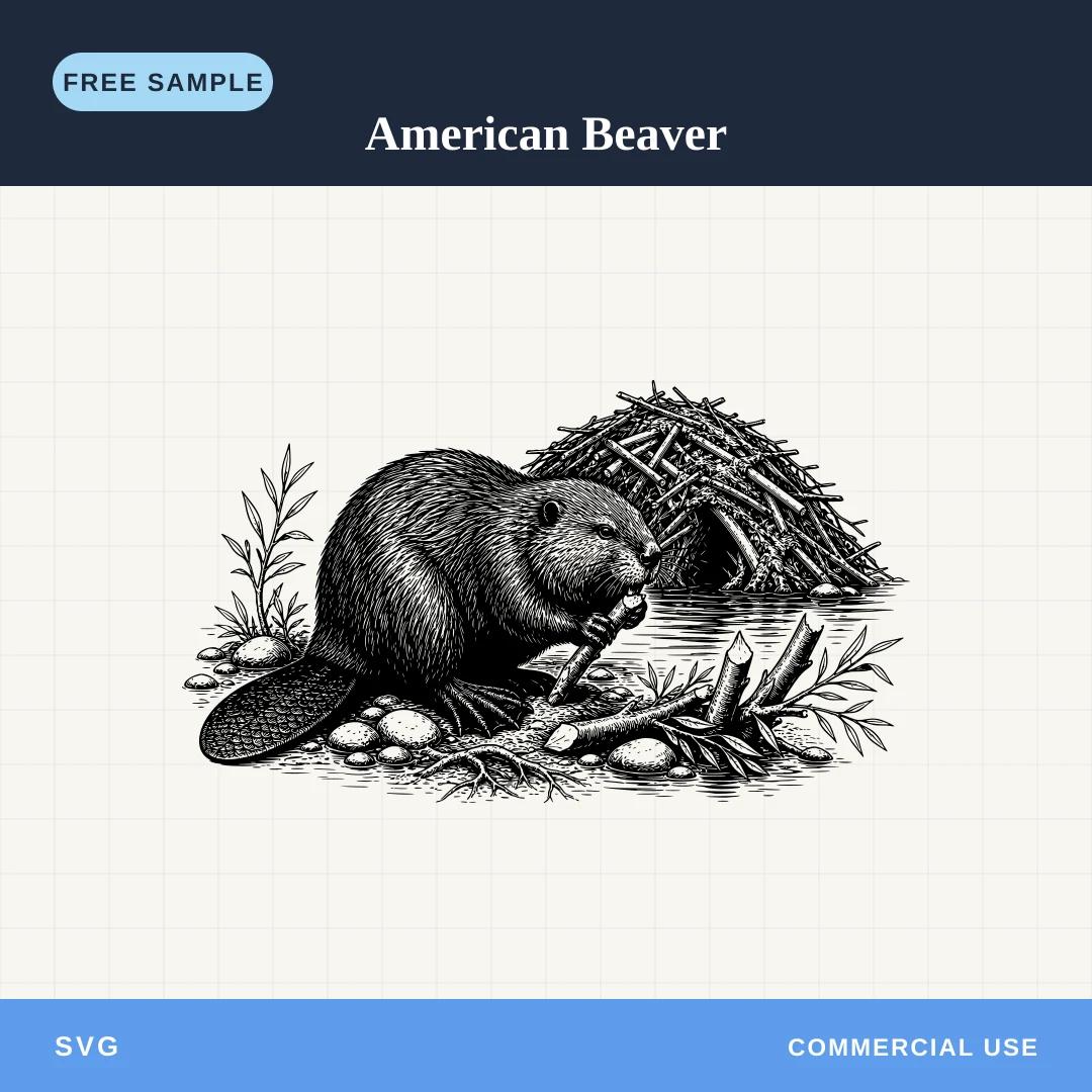 Free American Beaver SVG