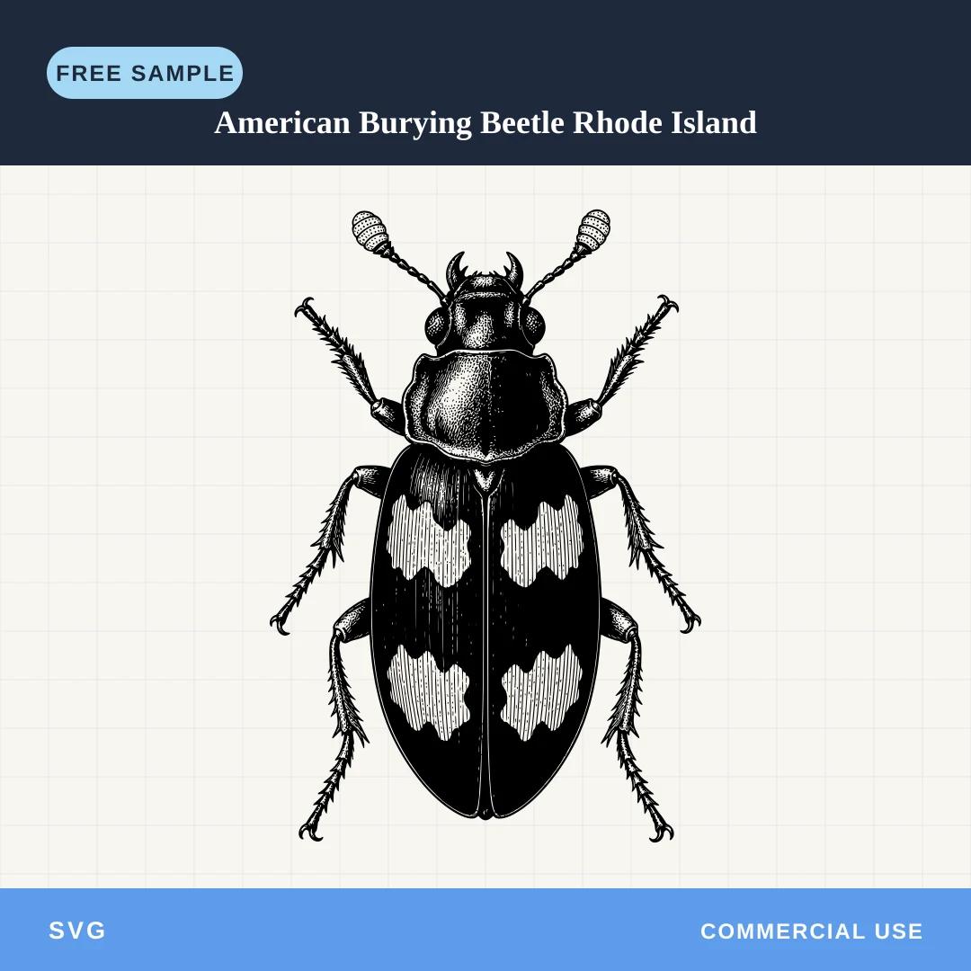 Free American Burying Beetle Rhode Island SVG
