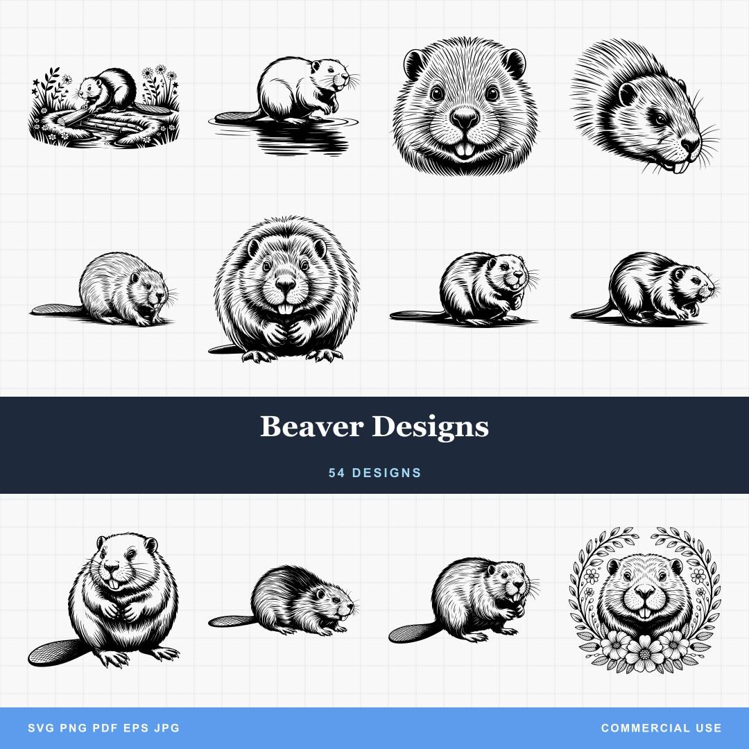 Beaver Designs
