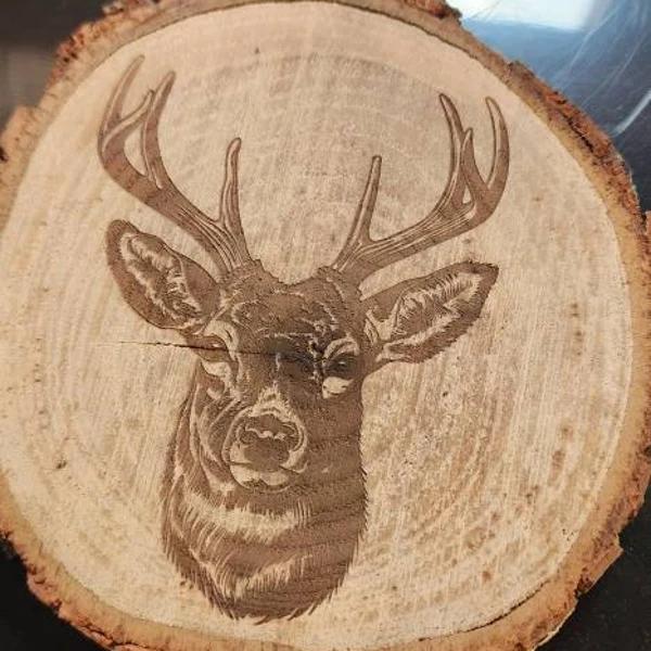 Buck deer engraved on natural wood slice